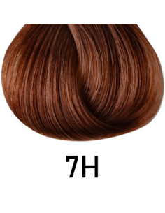 Singularity - 7H 100ml