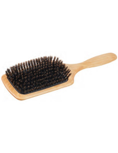 Hairbrush, natural...