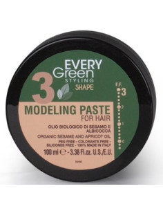 EVERYGREEN 3 Моделирующая...