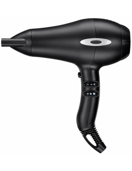 Professional Boreas Hair Dryer with a long-life AC motor and ionic technology