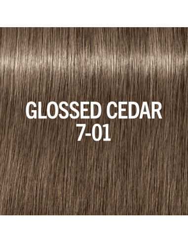 BLONDME Glow Toner 7-01 Glossed Cedar...