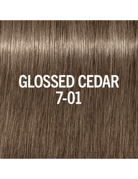 BLONDME Glow tonētājs 7-01 Glossed Cedar 60ml