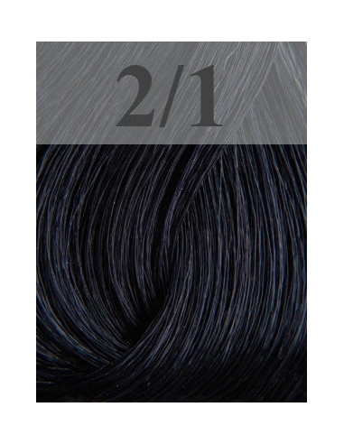 Sensido hair color 60ml 2/1 Ash Black