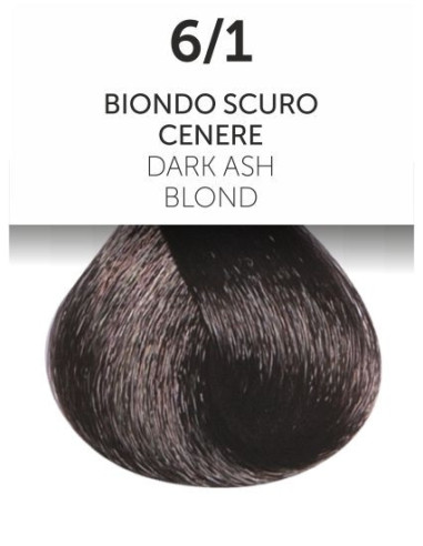 OYSTER PURITY Color without ammonia 6/1, Dark Ash Blond 100ml