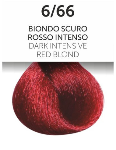 OYSTER PERLACOLOR color 6/66, Dark Intensive Red Blond 100ml