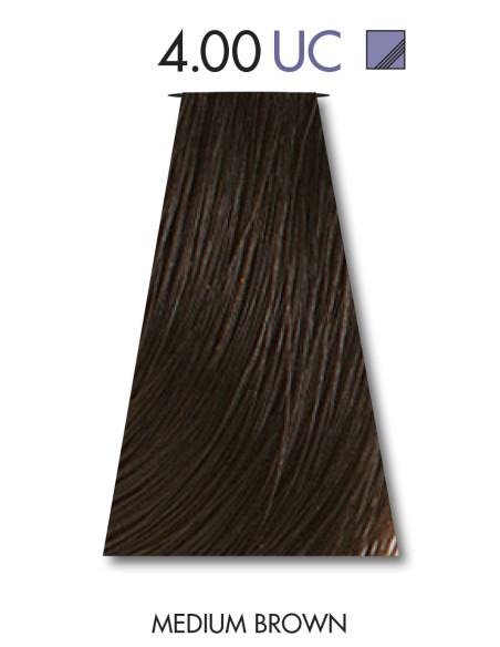 TINTA COLOR 4.00  60ml