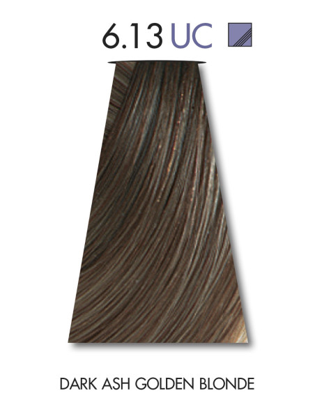 TINTA COLOR 6.13  60ml
