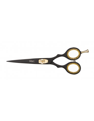 Ножницы парикмахерские 5.5 "BLACK...