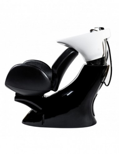 Friziera izlietne Kansas