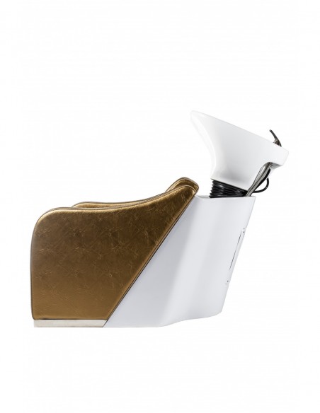 Washing chair Edmonton