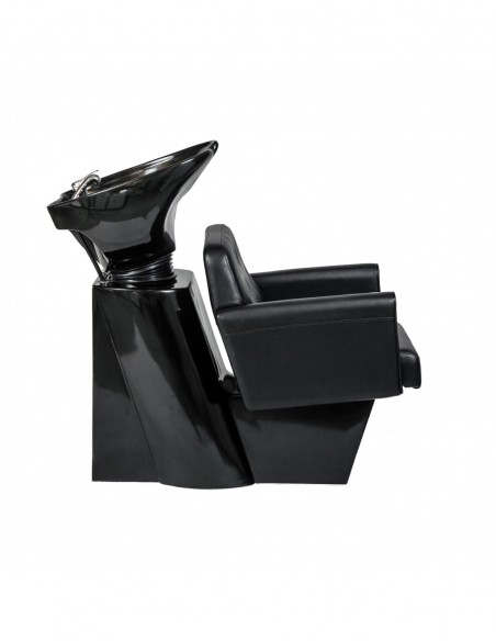 Washing chair Montana