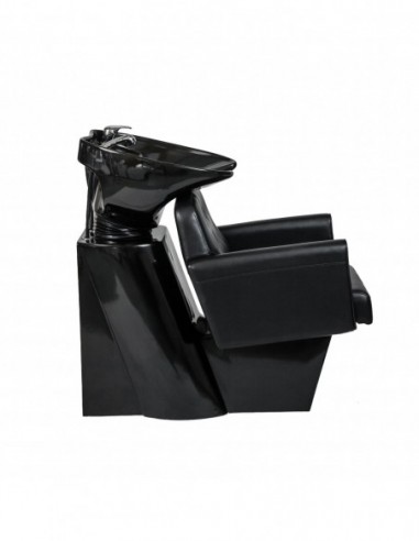 Washing chair Montana