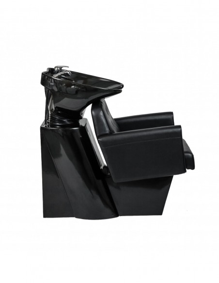 Washing chair Montana