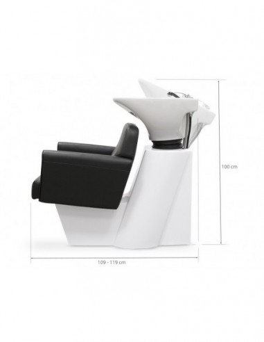 Friziera izlietne Montana