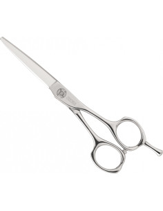 Hairdressing scissors De...