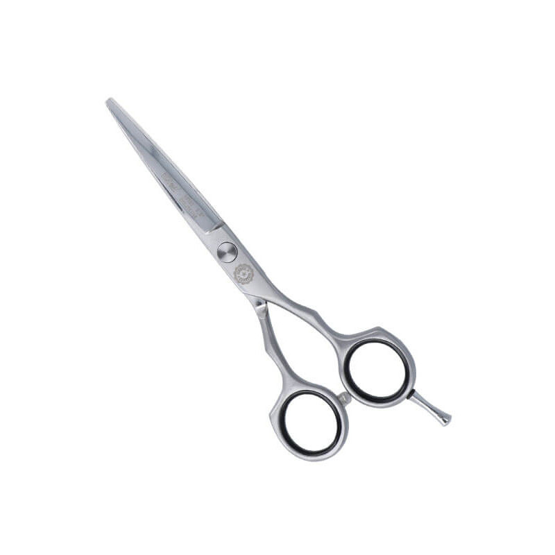 Hairdressing scissors EVOLUTE LINE 5.5"