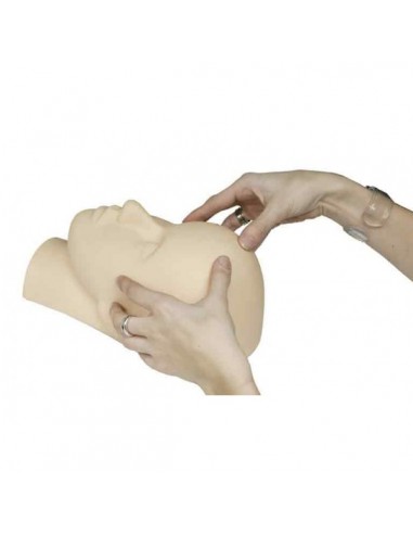 Mannequin head ORIS for facial massage and make up training