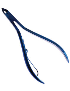 Knaiblītes kutikulai,...