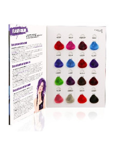 FLASHY COLOR Krāsu palete...