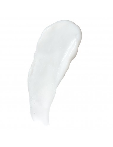 BIOLAGE HYDRASOURCE CONDITIONER FOR...