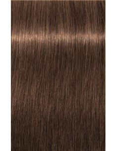 Schwarzkopf Igora Royal...