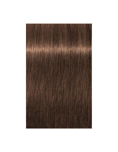 IGORA Royal Absolutes 6-60 hair color 60ml