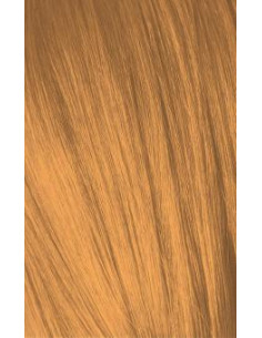 Schwarzkopf Igora Royal...
