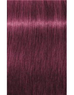 Schwarzkopf Igora Royal...
