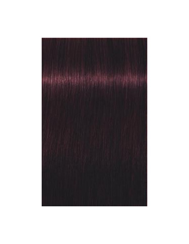 IGORA Royal 4-99 hair color 60ml