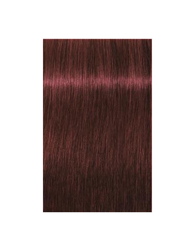 IGORA Royal 5-88 hair color 60ml