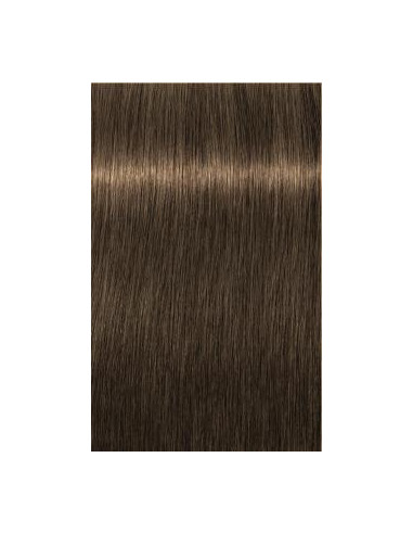 IGORA Royal 6-4 hair color 60ml