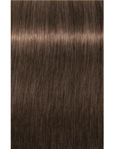 Schwarzkopf Igora Royal 6-46