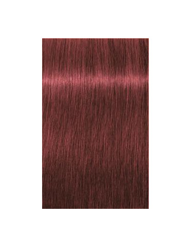 IGORA Royal 6-88 hair color 60ml