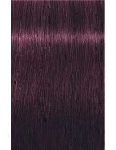 Schwarzkopf Igora Royal 6-99