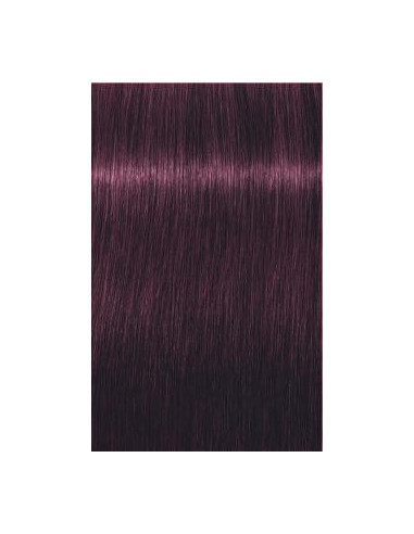 IGORA ROYAL 6-99 tumši blonds violetais ekstra tonis 60ml