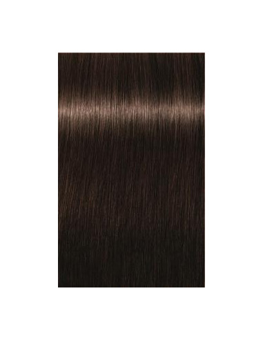 IGORA Royal Absolutes 4-60 hair color 60ml