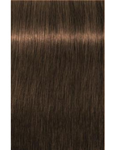 Schwarzkopf Igora Royal...