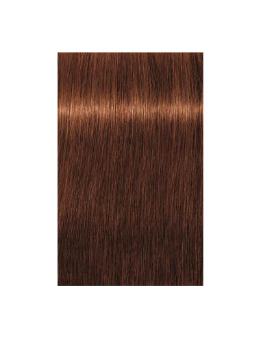 IGORA Royal Absolutes 6-70 hair color 60ml