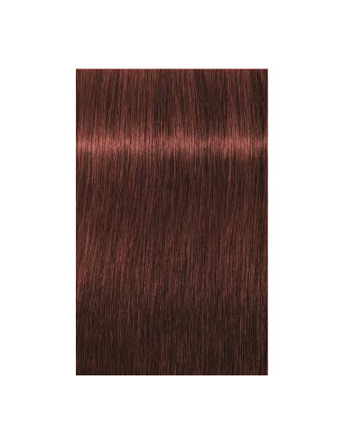 IGORA Royal Absolutes 6-80 hair color 60ml