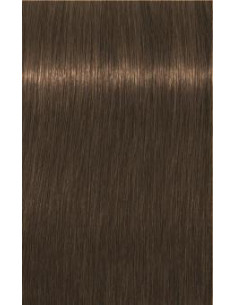 Schwarzkopf Igora Royal...