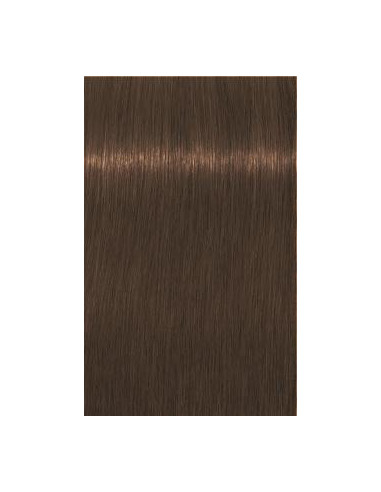 IGORA Royal Absolutes 7-460 hair color 60ml
