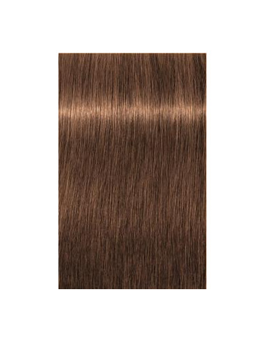 IGORA Royal Absolutes 7-60 hair color 60ml