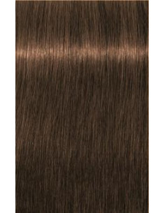 Schwarzkopf Igora Royal...