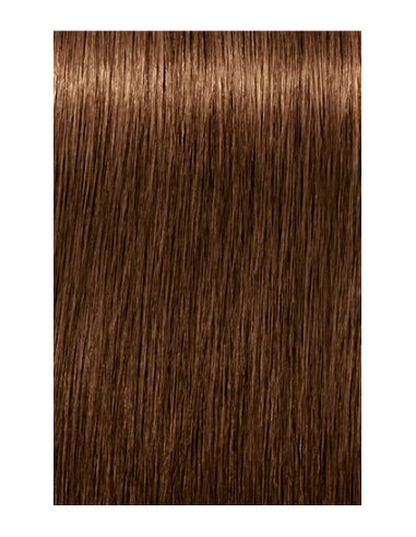 Schwarzkopf Igora Royal 6-460 Absolutes