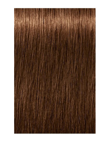 IGORA ROYAL Absolutes 6-460 permanenta krāsa sirmu matu krāsošanai 60ml