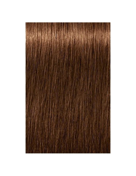 Schwarzkopf Igora Royal 6-460 Absolutes
