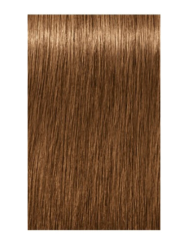 IGORA ROYAL Absolutes 7-450 permanenta krāsa sirmu matu krāsošanai 60ml