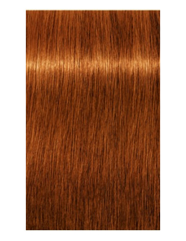 IGORA ROYAL Absolutes 7-710 permanenta krāsa sirmu matu krāsošanai 60ml