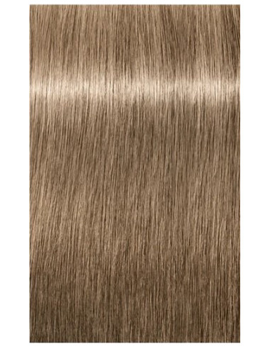 IGORA ROYAL Absolutes 8-01 hair color 60ml