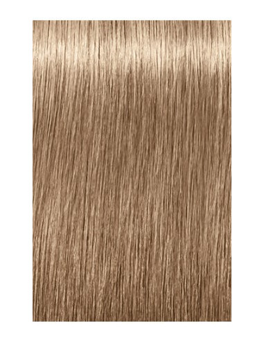IGORA ROYAL Absolutes 8-140 permanenta krāsa sirmu matu krāsošanai 60ml